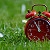 Updating a supplier contract? Part 1