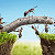Business asset purchase as a going concern
