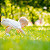 Your business baby needs to take the right first steps…legally speaking (part 1)